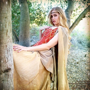Renaissance Faire Fairy princess queen Gown costume Renaissance Faire Fairy princess queen Gown costume image 3