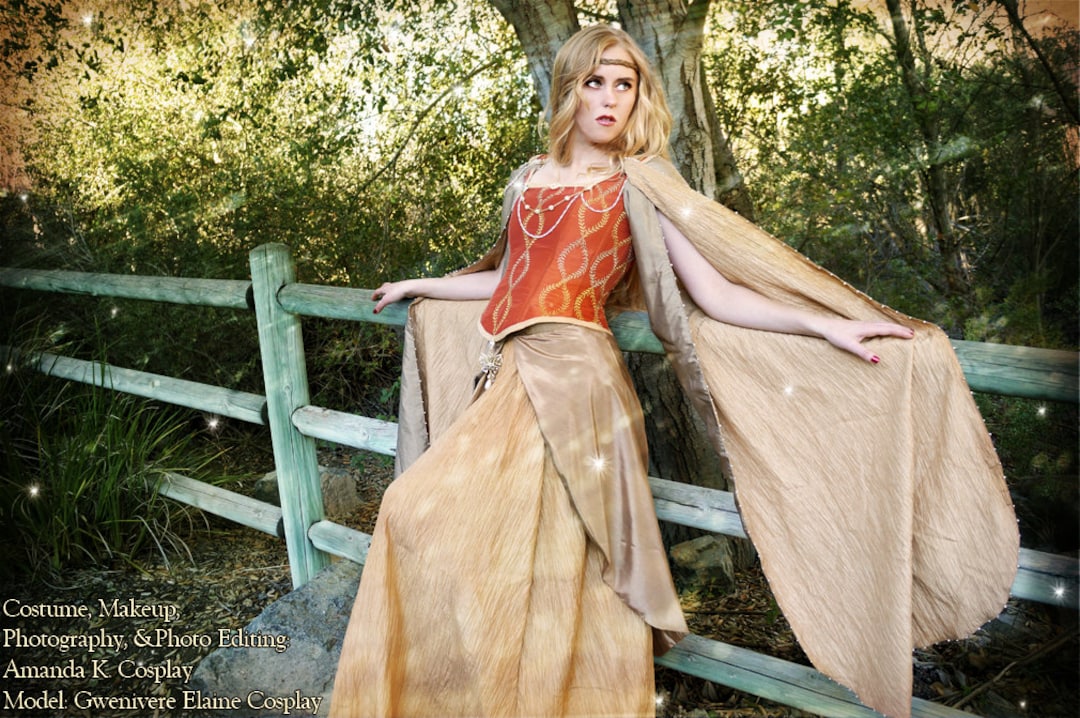 Renaissance Faire Fairy Princess Queen Gown Costume Renaissance Faire Fairy Princess Queen Gown