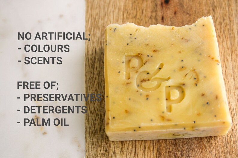 LEMON POPPY SEED Gently Exfoliating Shea Butter Handmade Soap Etsy Canada