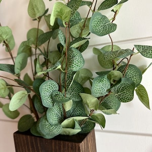 Two handmade rustic wooden wall sconces with a dark, rich wood finish. Wood color is customizable. Each planter holds a vibrant faux eucalyptus plant. Minimalist yet elegant design making this piece perfect for a rustic, farmhouse or bohemian style