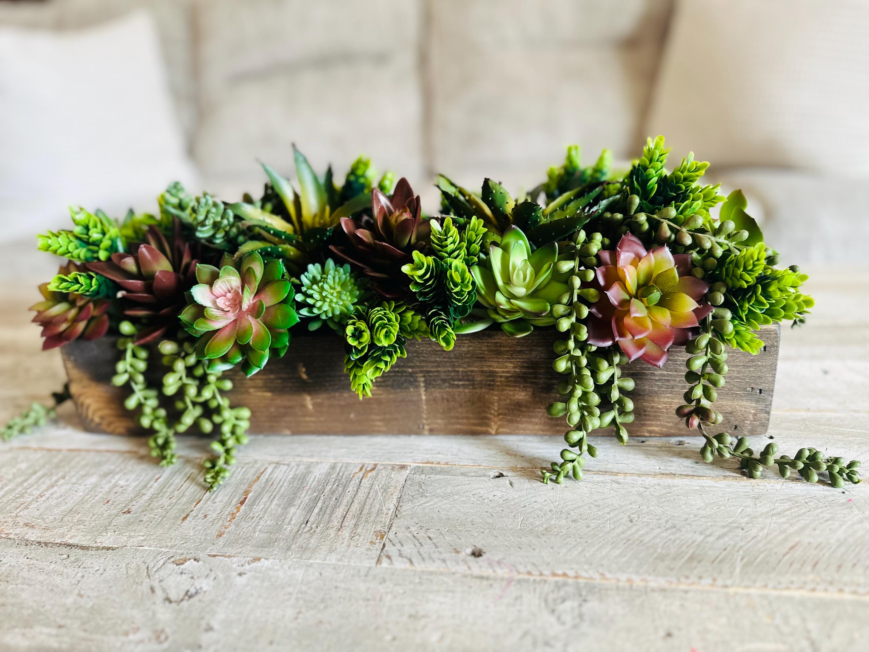 succulents bulk Bulk Succulents For Events and Weddings