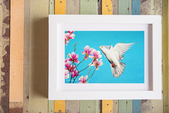 Oiseau Colombe Blanche En Vol à Fleurs De Magnolia Rose Photographie Doiseaux Photographie Dart Art Animalier Décoration Murale Oiseau Oiseau
