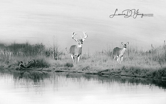Gift Ideas Vacation Tote Bag Book Bag Friend Gift Giving Fine Art on Canvas Tote Bag White Tailed Deer at Winter Pond Canvas Handbag