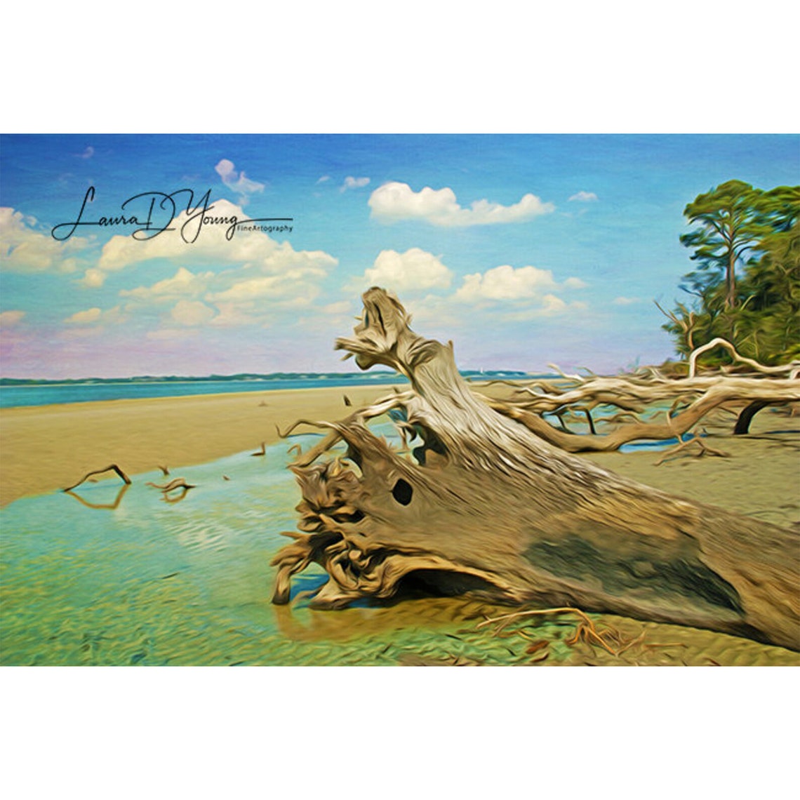 Driftwood on Beach Jekyll Island Beach Ocean and Beach Blue - Etsy