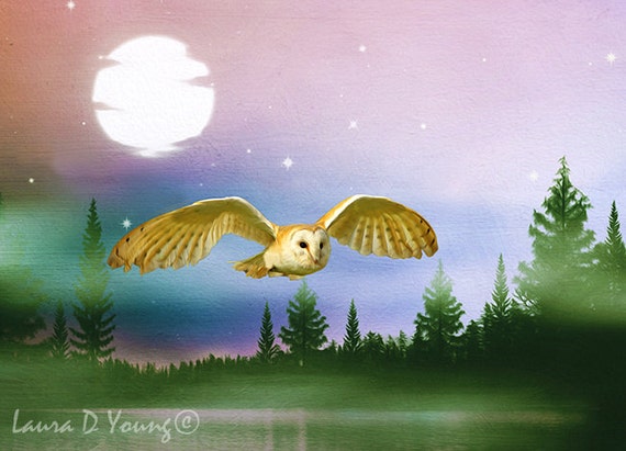 Barn Owl Flying At Night Owl Photography Bird Art Print Owl Etsy