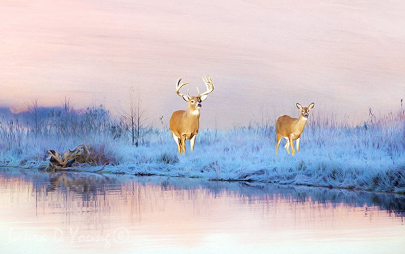 Gift Ideas Vacation Tote Bag Book Bag Friend Gift Giving Fine Art on Canvas Tote Bag White Tailed Deer at Winter Pond Canvas Handbag