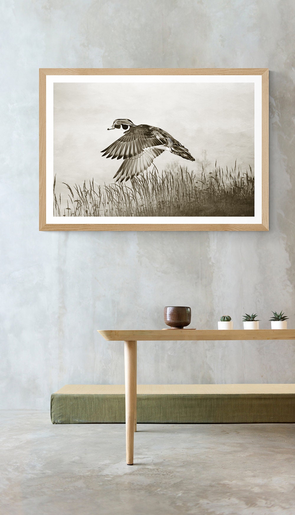 Male Wood Duck Wetlands Black and White Art Gift Etsy