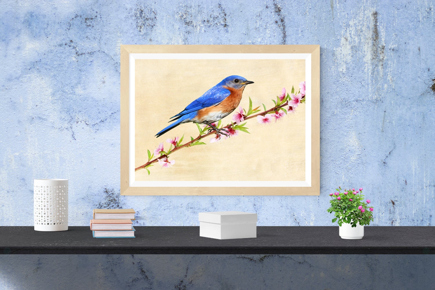 Male Bluebird on Branch Bird Photography Nature Lover Gift | Etsy