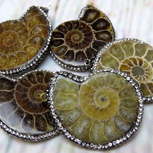 fossil necklace, ammonite necklace, pave rhinestones, ammonite pendant, fossil pendant, pave pendant, fossil shell necklace, good luck!