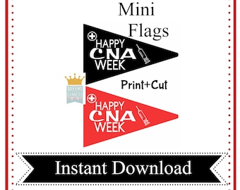 Regalos de la Semana de la CNA, regalo de la Semana de la CNA, regalos de agradecimiento a la CNA, regalos para enfermeras, graduación de enfermeras, feliz semana de las enfermeras, regalo para enfermeras