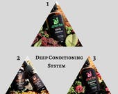 Deep Conditioning System (1.0 oz Coconut Rose, 1.0 oz Ayurvedic Bliss, 1.0 oz Minty Hibiscus)