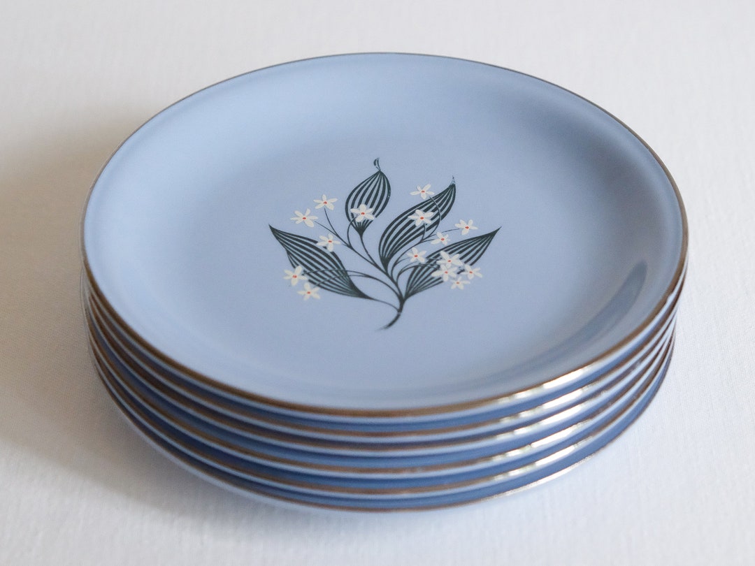 1950s Skytone by Homer-laughlin 'stardust' Pattern 6
