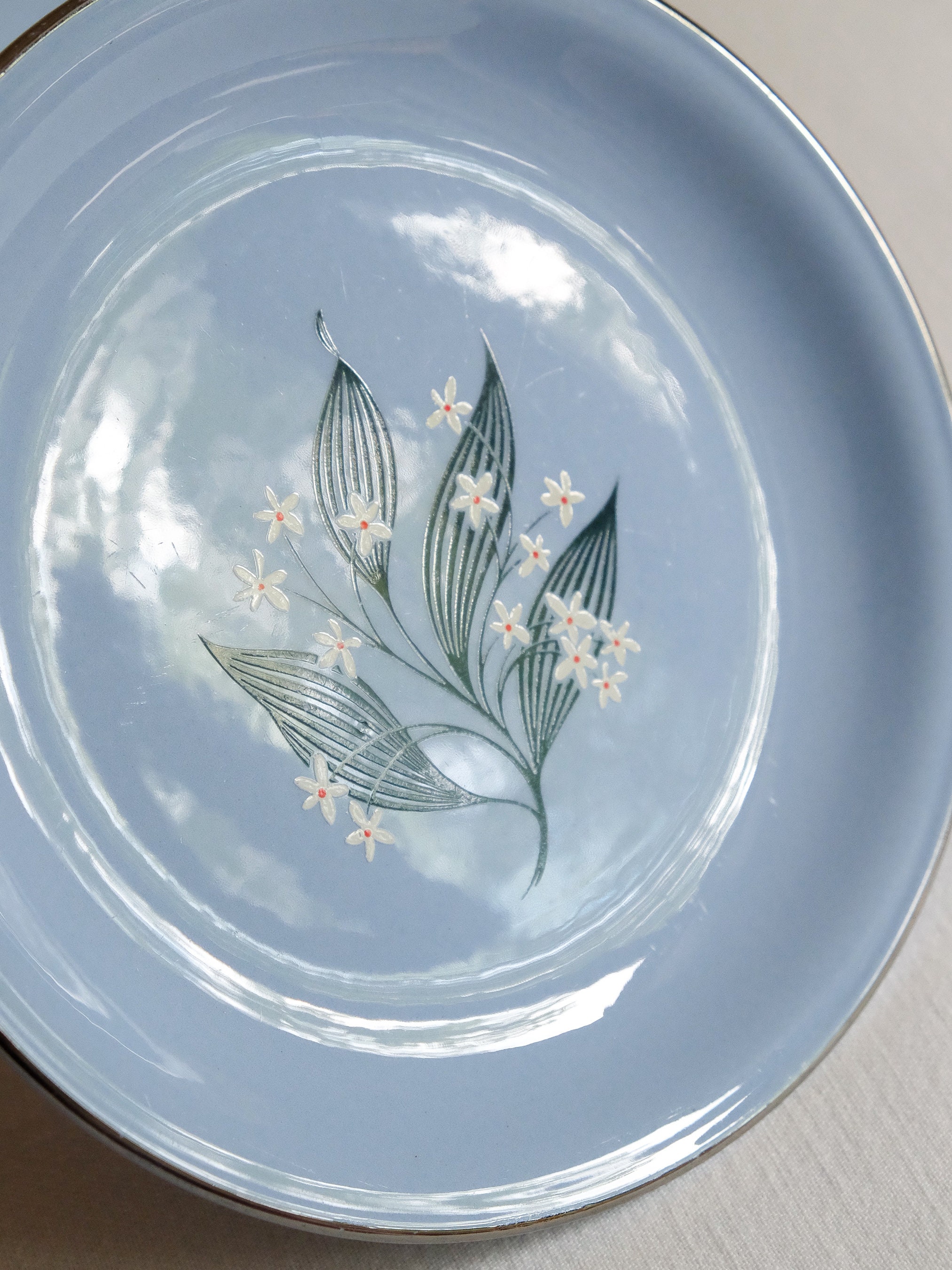 1950s Skytone by Homer-laughlin 'stardust' Pattern 6