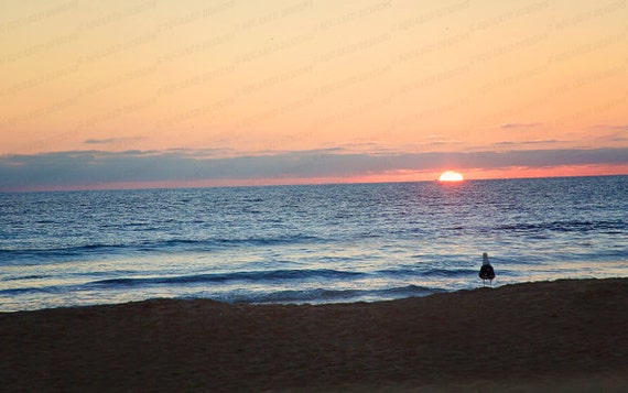 Get Ocean home decor HD Ocean Home Decor