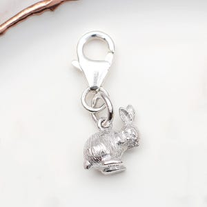 Puede incluir: Un charm plateado con un dise&ntilde;o detallado de conejo. El charm est&aacute; unido a un cierre de mosquet&oacute;n, adecuado para pulseras o collares. El conejo est&aacute; representado en posici&oacute;n sentada, con pelaje texturizado y orejas prominentes.