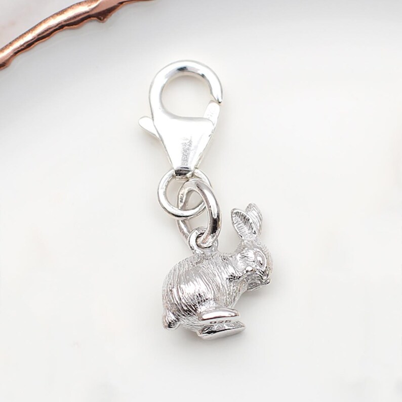 Puede incluir: Un charm plateado con un dise&ntilde;o detallado de conejo. El charm est&aacute; unido a un cierre de mosquet&oacute;n, adecuado para pulseras o collares. El conejo est&aacute; representado en posici&oacute;n sentada, con pelaje texturizado y orejas prominentes.