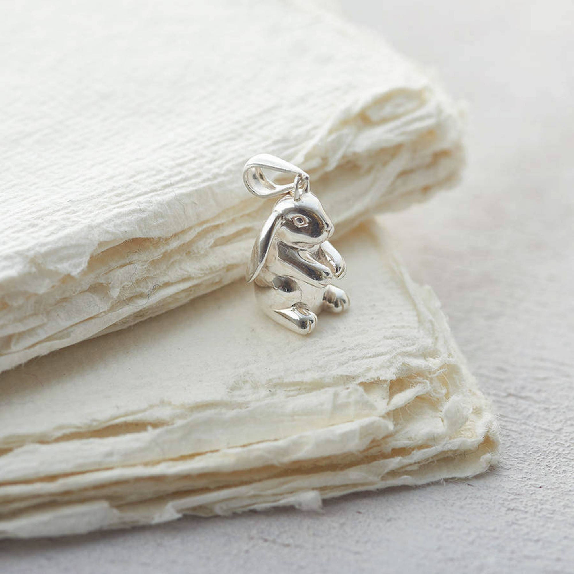 Solid Silver Lop Eared Rabbit Personalised Necklace • Animal Jewellery