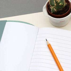 Puede incluir: Un cuaderno abierto con l&iacute;neas y una cubierta de color verde azulado con un l&aacute;piz amarillo en la p&aacute;gina derecha. El cuaderno est&aacute; sobre una superficie beige junto a una maceta de cer&aacute;mica blanca con una planta de cactus y la palabra "Love" escrita en el lateral.