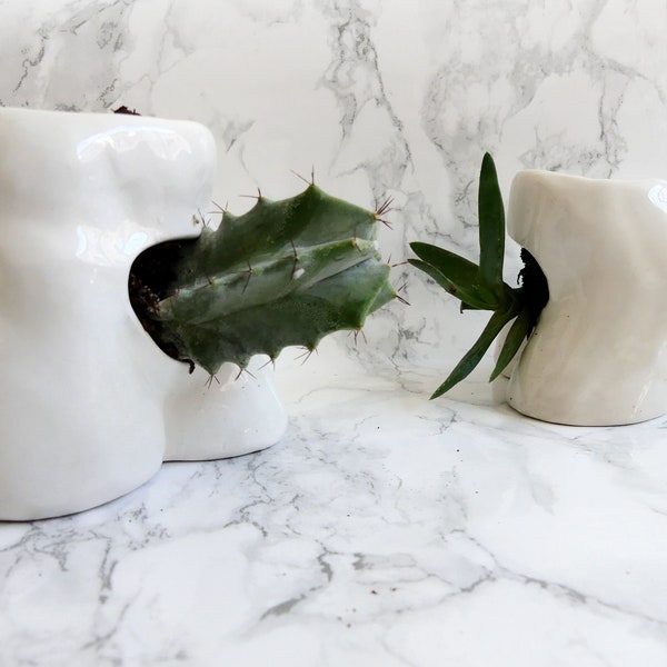 Vase-ctomia, vaso in ceramica per piante grasse a mezzo busto