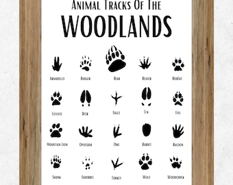Woodland Animal Tracks Print, Forest Animal Tracks Wall Art, Animal Tracks Printable, Woodland Poster, Digital Download, Boys Room Decor