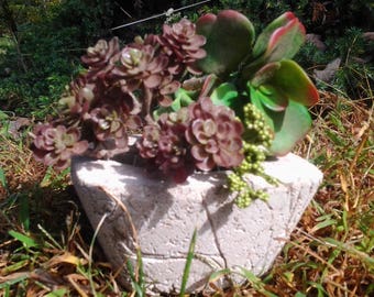 Hypertufa Succulent/ Herb Planter