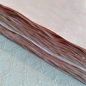 10 Sheets Avocado Hand Dyed Paper Pink