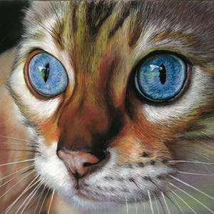 Cat painting, Cat, pastel Portrait, custom portrait, portrait from photo, original portrait, animal portrait, handmade, Cat art, Ginger cat