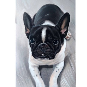 15"x17" custom pet portrait, custom painting, dog, animal paining, pet lover painting, unique, handmade, pastel Portrait, from photo,drawing