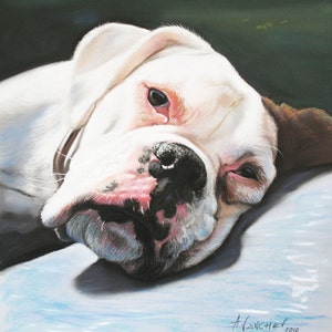 ペット　犬　絵　油彩画肖像画　カスタマイズ 犬の肖像画、油絵、カスタムペットの肖像画、オリジナル、動物の
