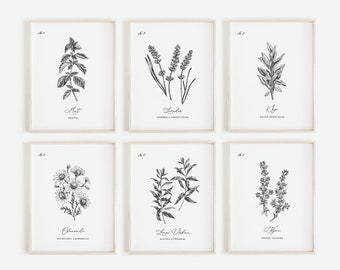 Herb Prints Set of 6 , Kitchen Printable Art, Botanical Print, Kitchen decor, Kitchen Wall Art, Kitchen Print Set, Botanical Line Art, Set 8