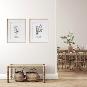 May include: Two framed botanical prints with black and white illustrations hang above a woven bench with two wicker baskets. The prints feature detailed drawings of plants with their scientific names. The room has a neutral color palette with wooden floors and a glimpse of a dining area.
