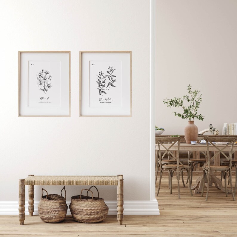 May include: Two framed botanical prints with black and white illustrations hang above a woven bench with two wicker baskets. The prints feature detailed drawings of plants with their scientific names. The room has a neutral color palette with wooden floors and a glimpse of a dining area.