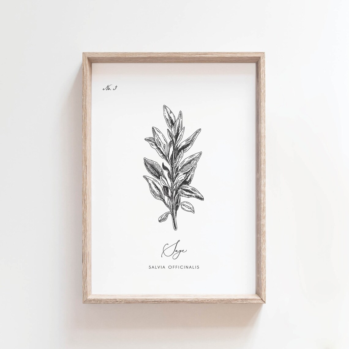 Herb Prints Set of 6 , Kitchen Printable Art, Botanical Print, Kitchen ...