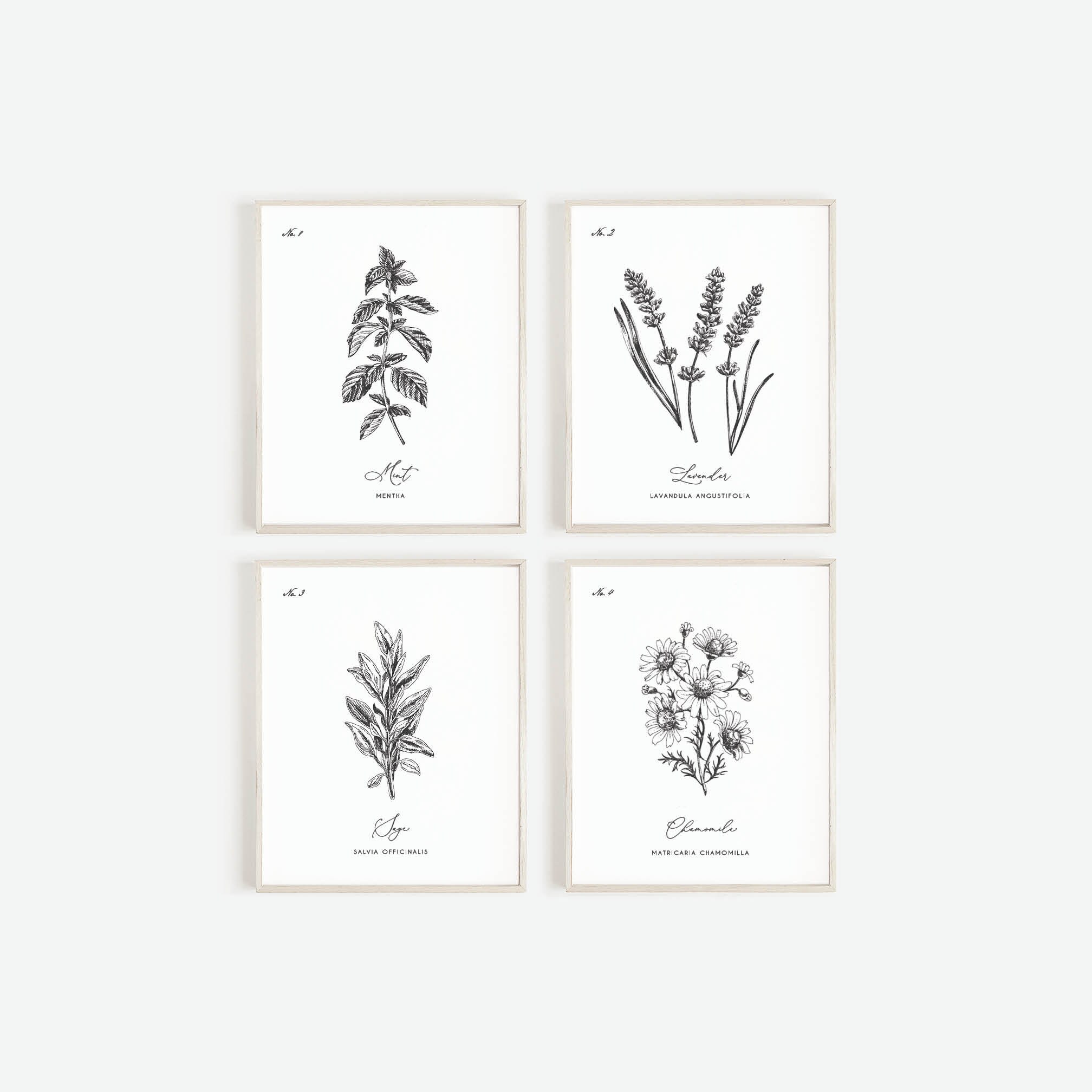 Herb Prints Set of 6 , Kitchen Printable Art, Botanical Print, Kitchen ...