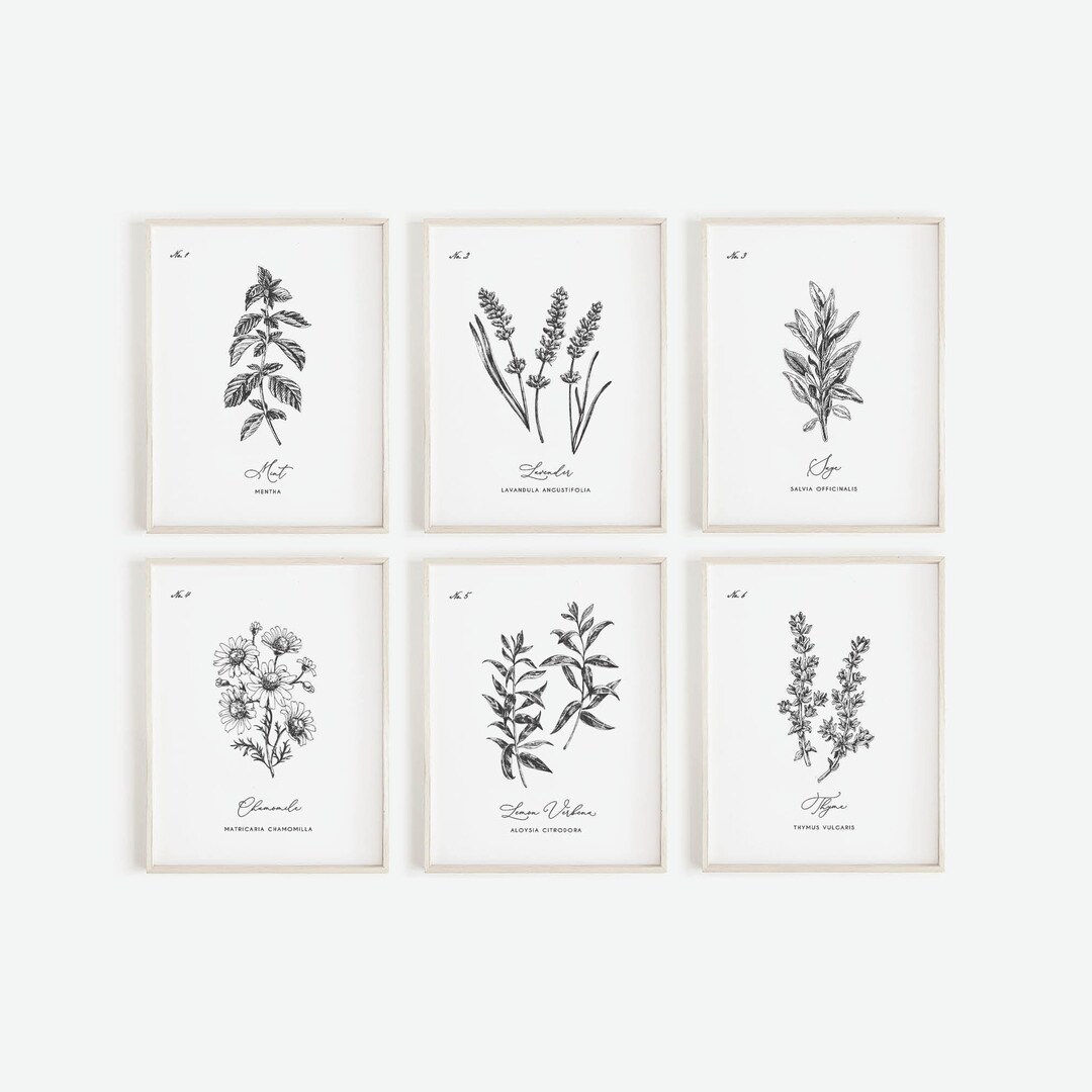 Herb Prints Set of 6 , Kitchen Printable Art, Botanical Print, Kitchen ...