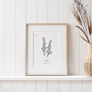 May include: A framed botanical print featuring a detailed black and white illustration of thyme (Thymus vulgaris). The artwork is set against a white background, with the plant's name elegantly scripted below. The frame is a light wood color, and the print is displayed on a white shelf.