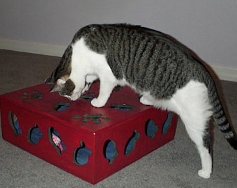Interactive Kitty Toy Box to keep your cat entertained