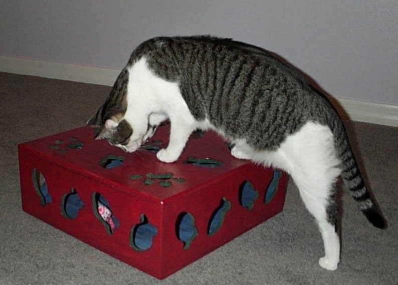 Interactive Kitty Toy Box to Keep Your Cat Entertained Etsy