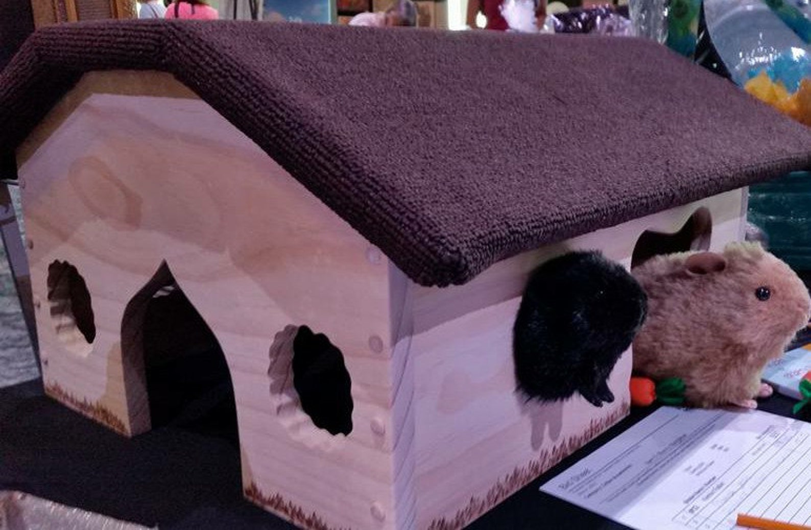 Bunny Bungalow Spacious Small Pet House Etsy