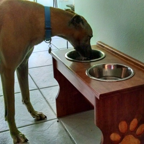 Elevated Food Dish Holder w/ Paw Print Carved Legs, Dog Dish Holder w/ Paw Print Carved Legs, Cat Dish shops Holder w/ Medium 64oz Bowls