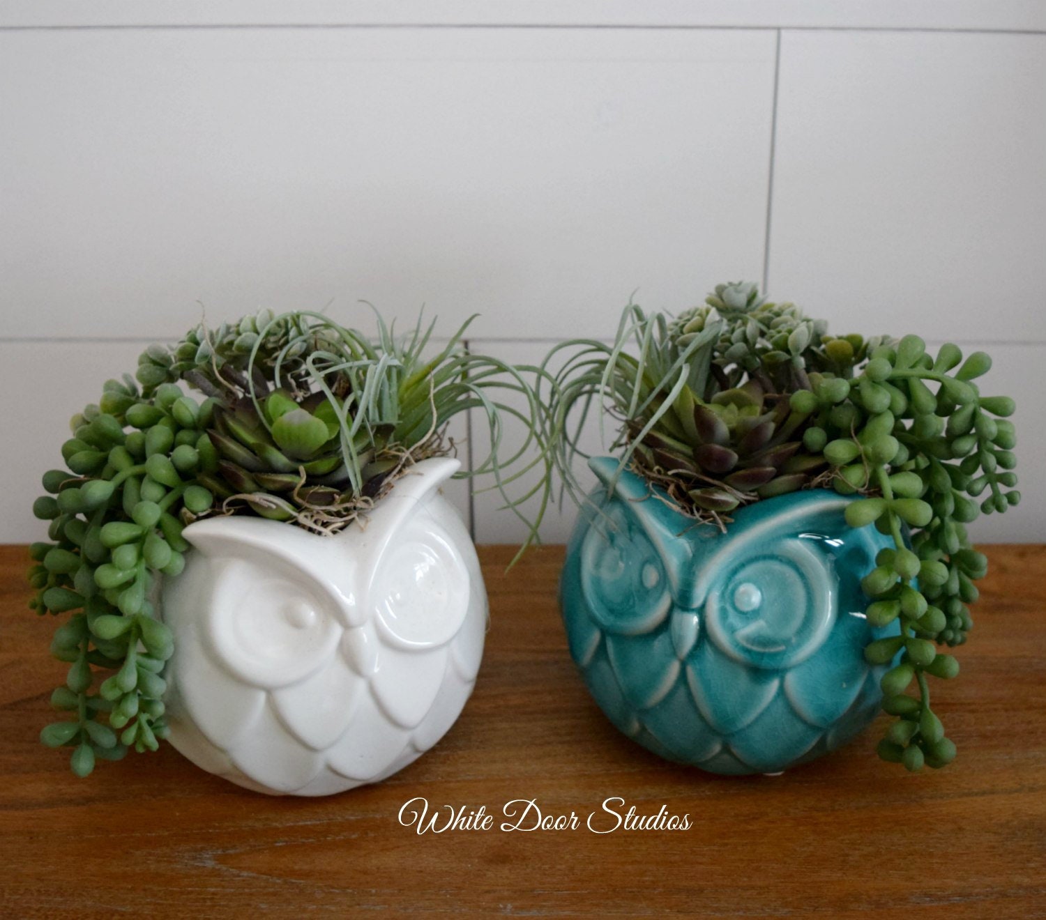 Faux Succulent Arrangement In Ceramic Owl Vase Your Choice Of