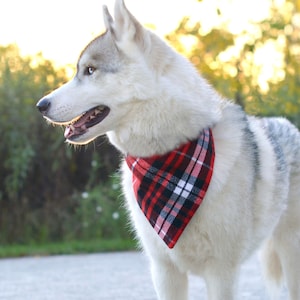 MooseExpressions red & black plaid flannel bandana on husky