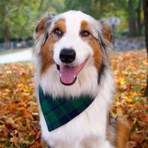 Plaid Dog Bandana, Dog Christmas Bandana Over the Collar, Dog Christmas Gift, New Dog Owner Gifts image 2