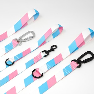 May include: Four colorful dog leashes with pink and blue stripes and silver and black clips.
