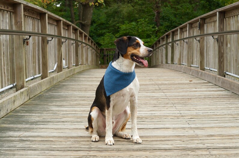 Blue Plaid Dog Bandana Snap Dog Bandana Dog Bandana Fall Etsy