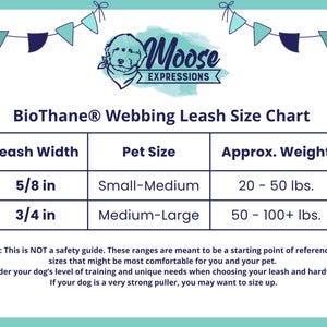 Peut inclure: Un graphique turquoise avec un tableau des tailles pour les laisses en sangle BioThane&reg;. Le tableau indique la largeur de la laisse, la taille de l'animal et le poids approximatif. Il comprend 5/8 po pour les chiens petits-moyens (9-23 kg) et 3/4 po pour les chiens moyens-grands (23-45+ kg).