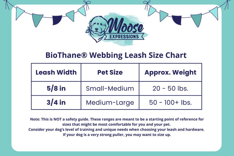 Peut inclure: Un graphique turquoise avec un tableau des tailles pour les laisses en sangle BioThane&reg;. Le tableau indique la largeur de la laisse, la taille de l'animal et le poids approximatif. Il comprend 5/8 po pour les chiens petits-moyens (9-23 kg) et 3/4 po pour les chiens moyens-grands (23-45+ kg).