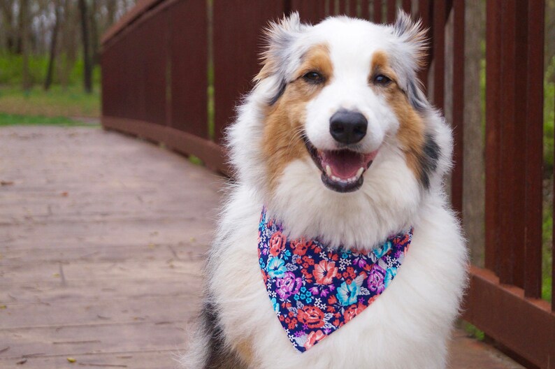 Dog Bandana Floral Dog Bandanas Cute Dog Bandana Spring Etsy