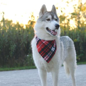 MooseExpressions red & black plaid flannel bandana on husky