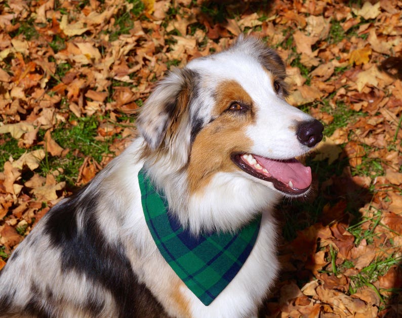 Plaid Dog Bandana, Dog Christmas Bandana Over the Collar, Dog Christmas Gift, New Dog Owner Gifts image 7